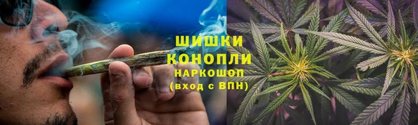 кокс Корсаков