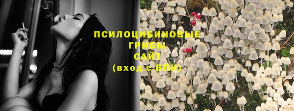 кокс Корсаков