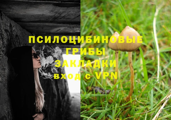 кокаин премиум Козловка