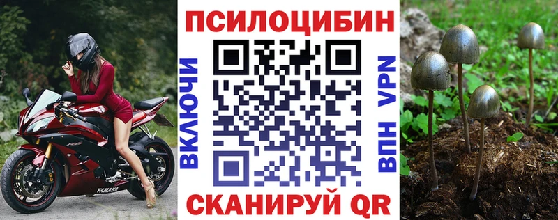 Псилоцибиновые грибы GOLDEN TEACHER  купить   Кропоткин 